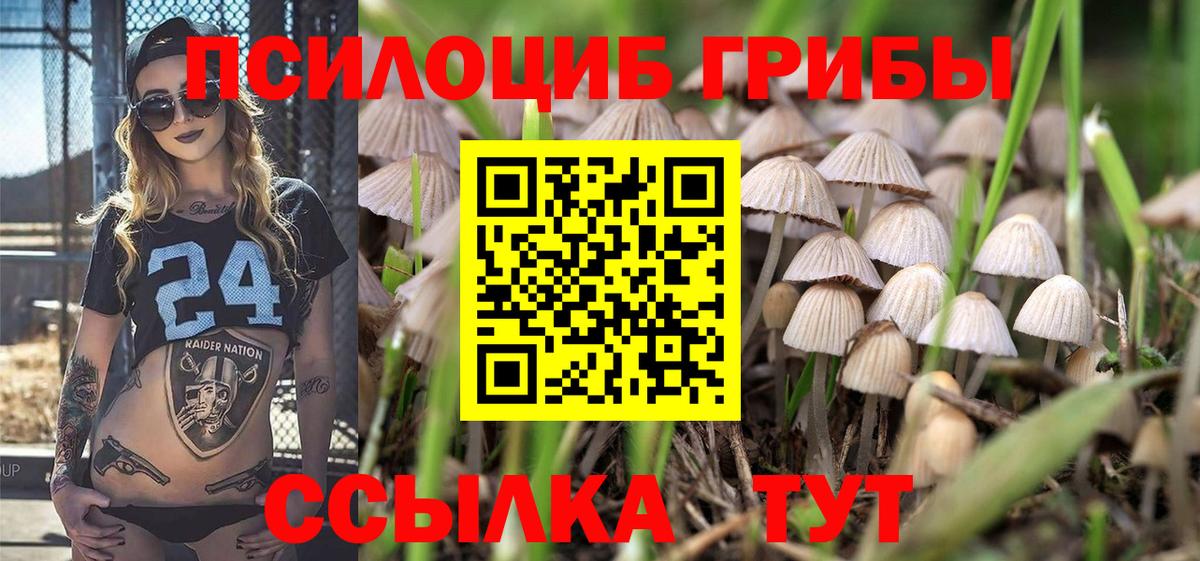 Псилоцибиновые грибы Magic Shrooms  Вход с VPN  Карпинск 